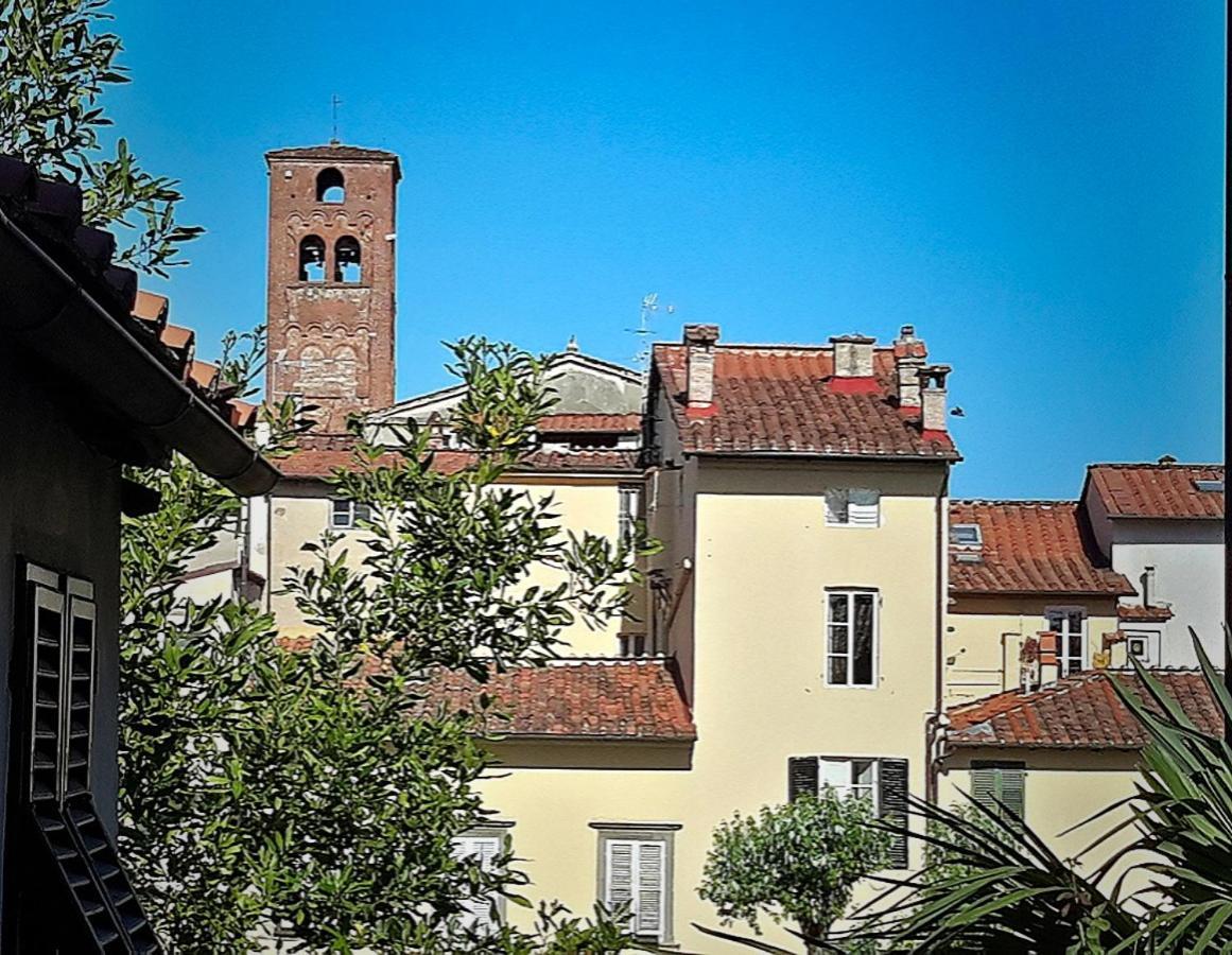 La Butterfly Guest Apartment Lucca Exterior photo